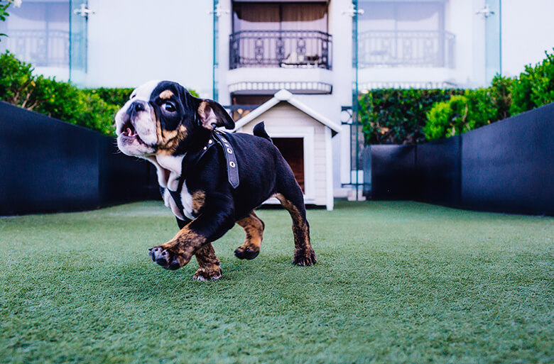 Image Credit: The London West Hollywood