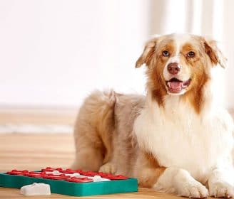 dog treat puzzles