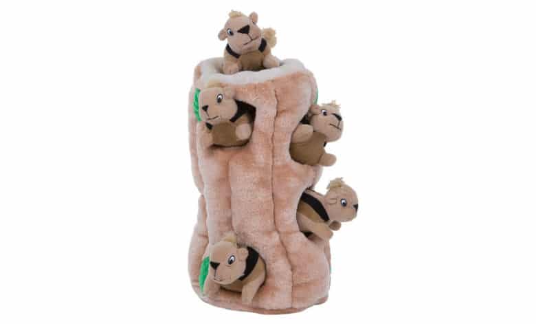 Outward Hound Hide-a-Squirrel Dog Puzzle Toy