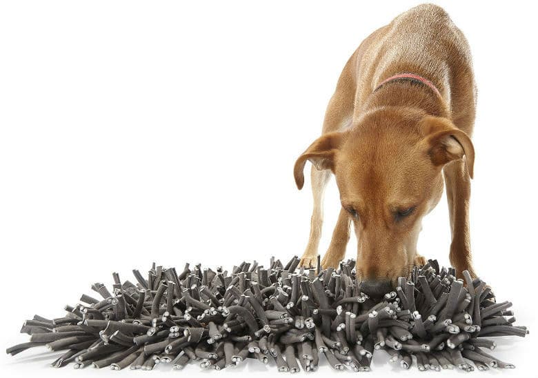 PAW5 Wooly Snuffle Puzzle Mat