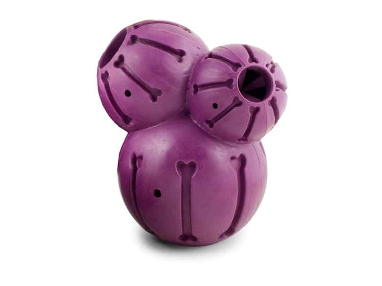 PetSafe Busy Buddy Barnacle Treat Dispensing Dog Toy