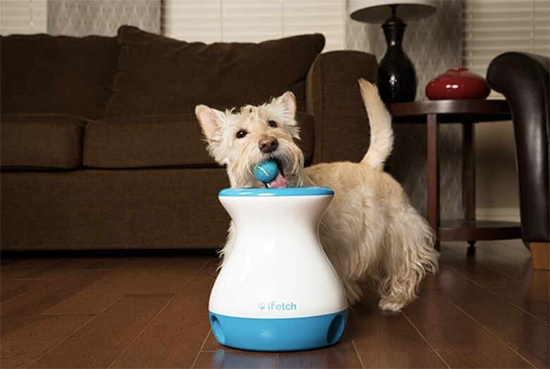 10 of the Best Interactive Puzzles and Games for Your Bored Dog