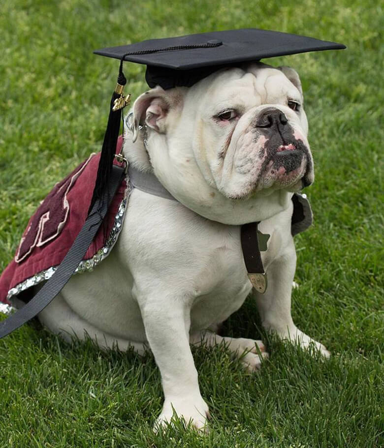 University of Redlands Mascot