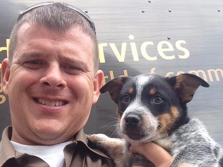 Image Courtesy of UPS Dogs