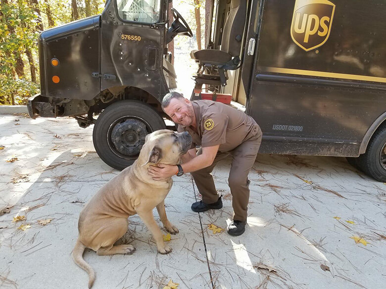 Image Courtesy of UPS Dogs