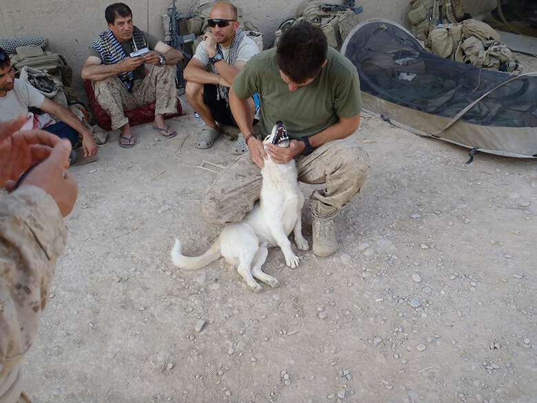 Image Credit: Fred the Afghan