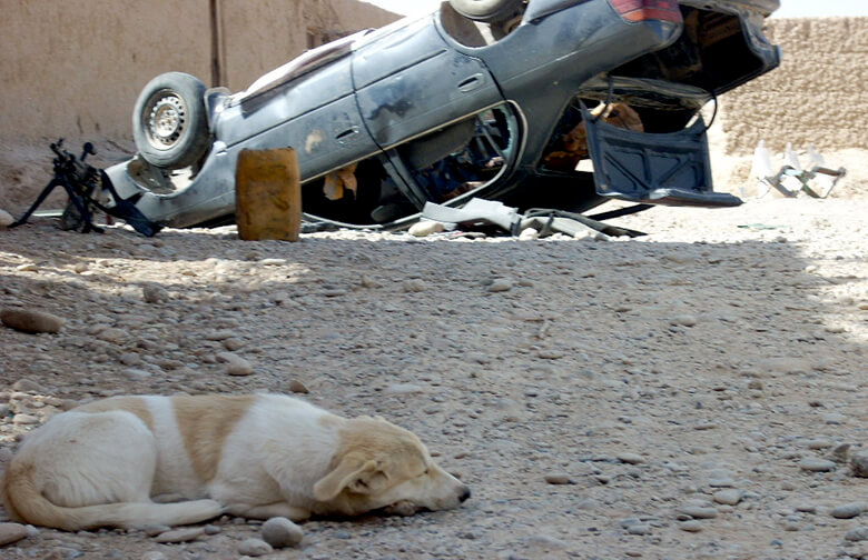 Image credit: Fred the Afghan