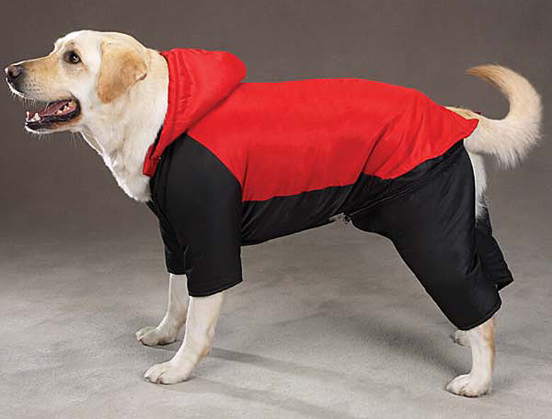 insulated dog jacket