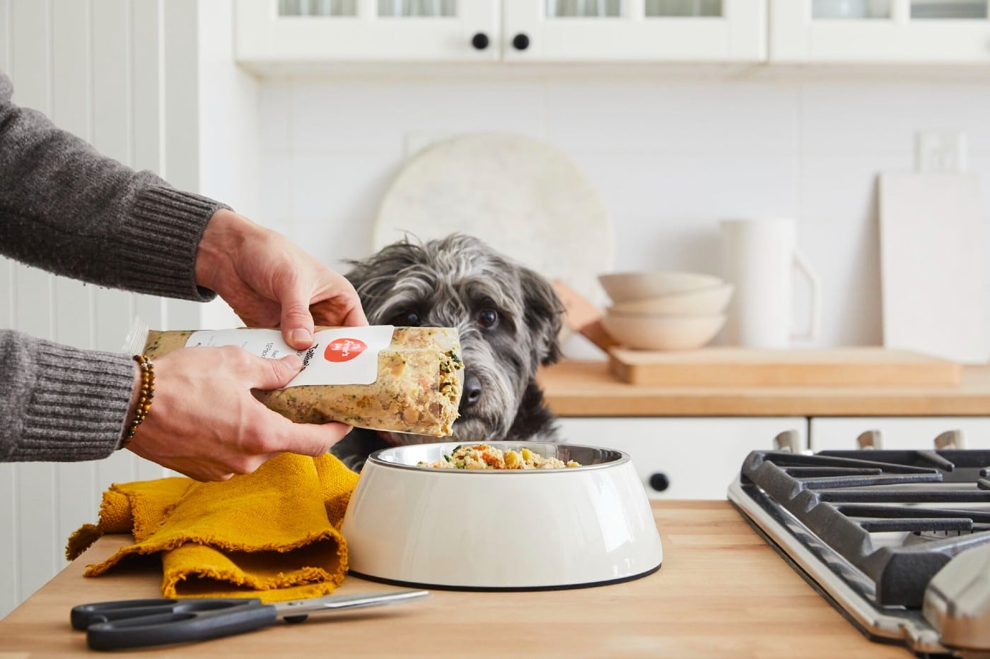 A person feeding fresh dog food delivery to a dog in a kitchen.