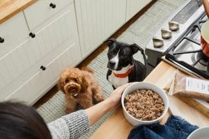 A woman feeding a dog fresh food on a kitchen counter.
