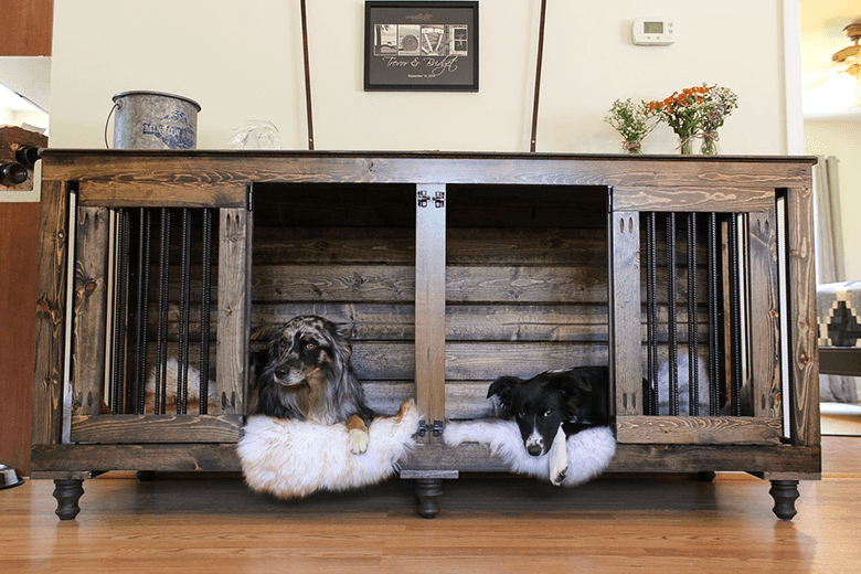 cool dog crate