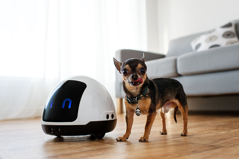 https://www.thisdogslife.co/wp-content/uploads/2018/05/Mia-the-robot-2.jpg