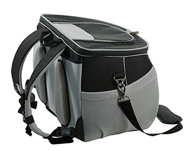 7 Awesome Dog Carrier Backpacks for Summer Hiking