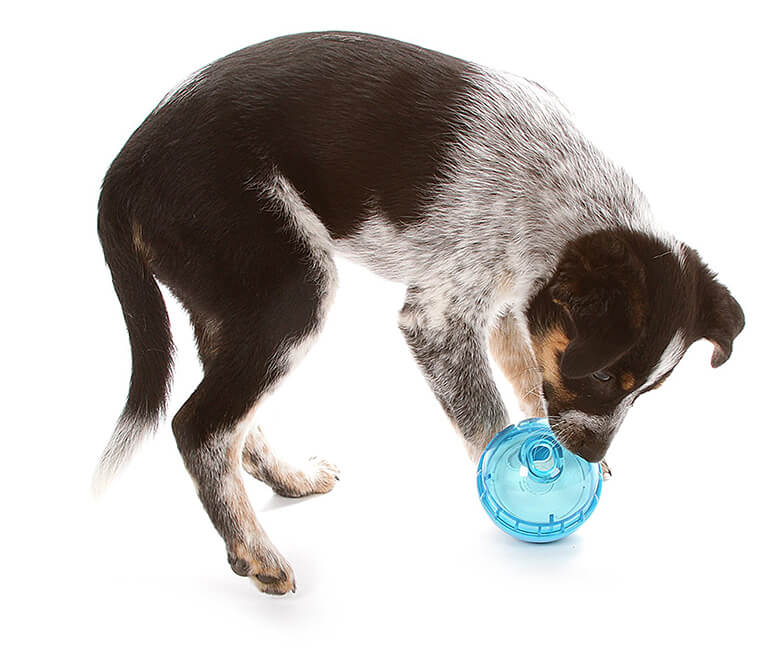 Dogit Mind Games 3-in-1 Smart Interactive Toy for Dogs