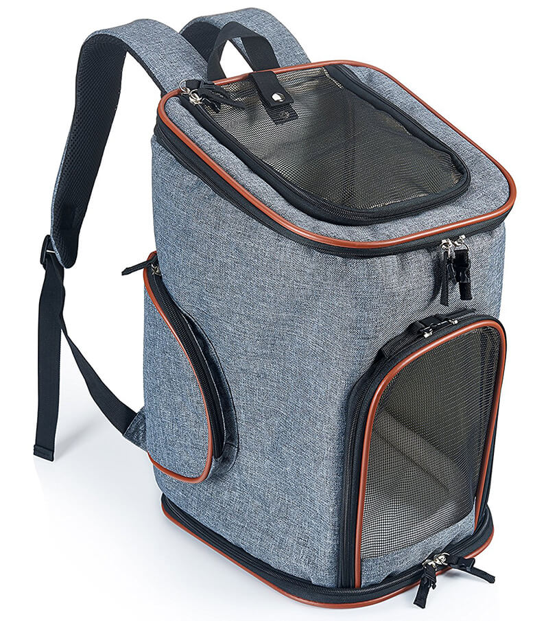 7 Awesome Dog Carrier Backpacks for Summer Hiking