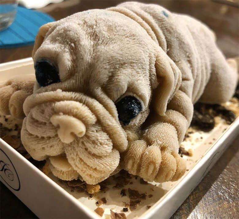 puppy ice cream