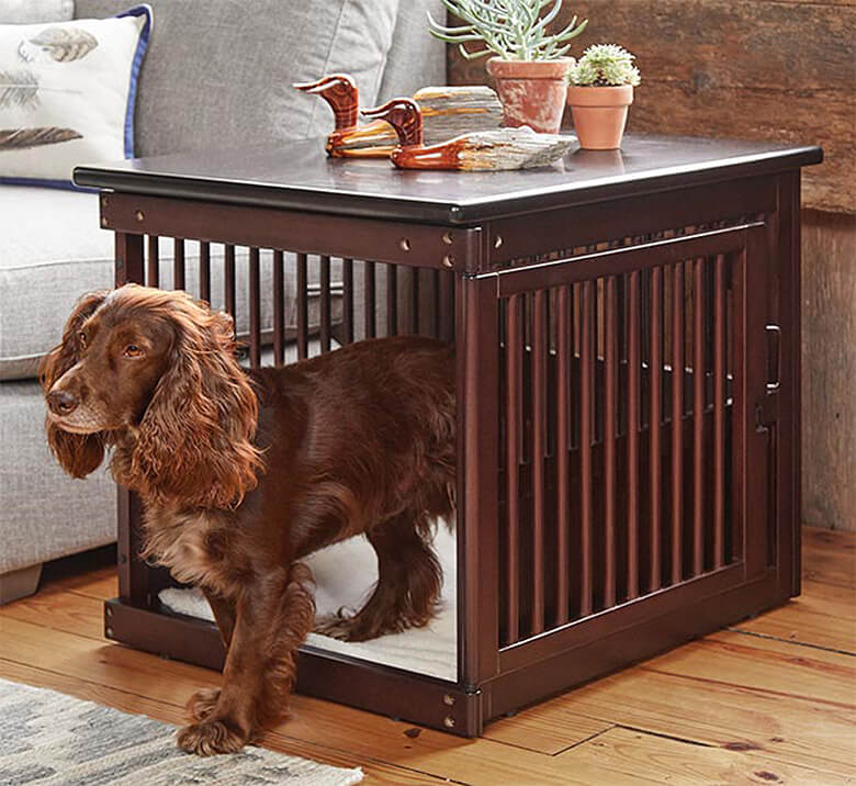 The Coolest Dog Crates Disguised as 