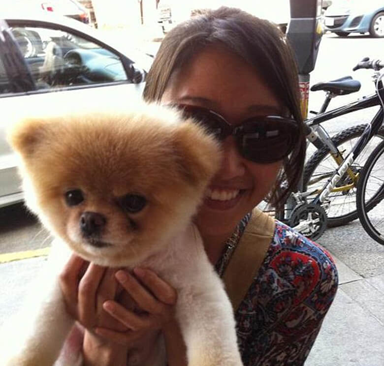 Boo the shop pomeranian owner