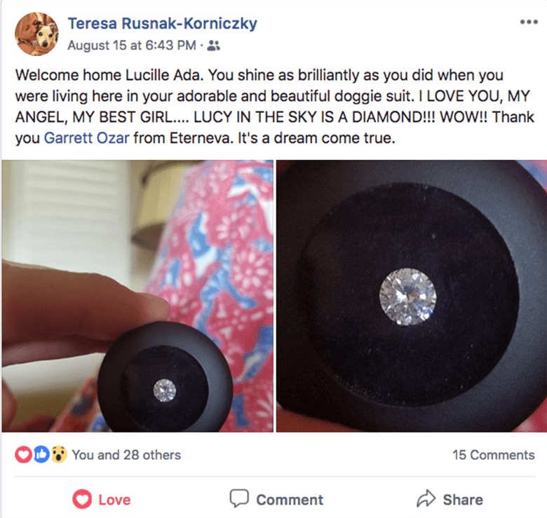 Dog ashes into diamonds hotsell