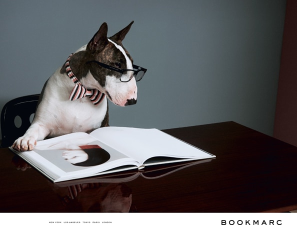 Marc Jacobs's dog Neville for BookMarc