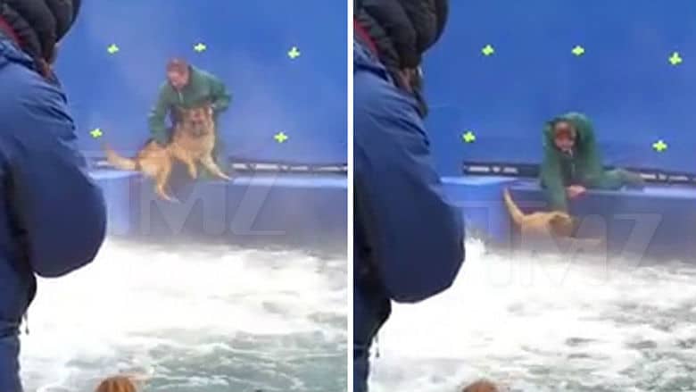 Video Shows Alleged Mistreatment of Dog on Set of Movie 'A Dog's Purpose'