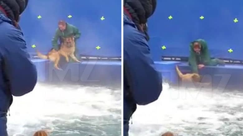 Two pictures of a man and a dog in the water, possibly showcasing alleged mistreatment.