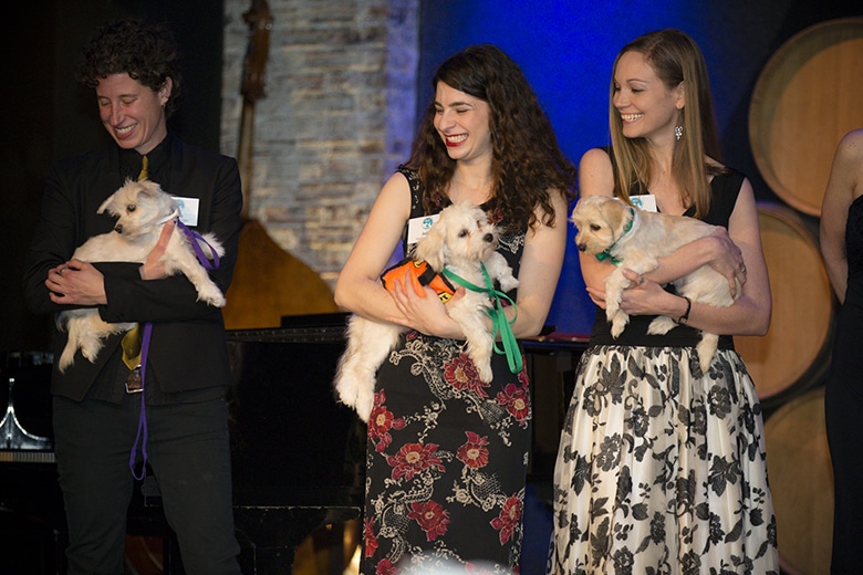 Three young women holding puppies at an ACC event.