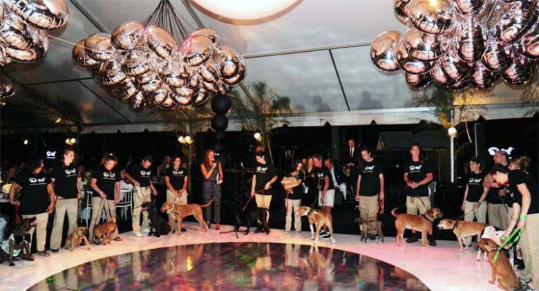 Famous Filmmaker to Be Honored at Bow Wow Meow Ball in the Hamptons