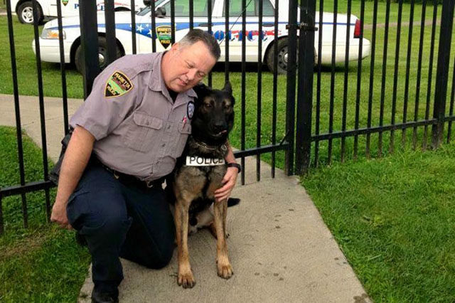 A retired police officer kneeling down next to a K9 dog.