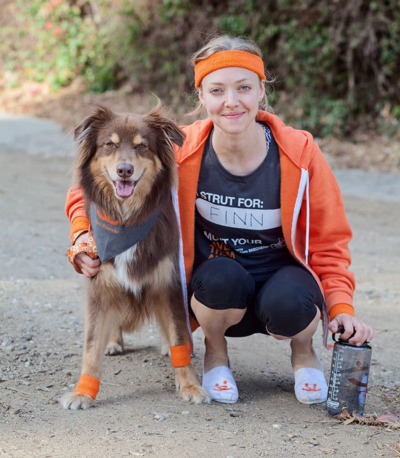 Actress Amanda Seyfried and Her Dog to Lead Los Angeles' Strut Your Mutt