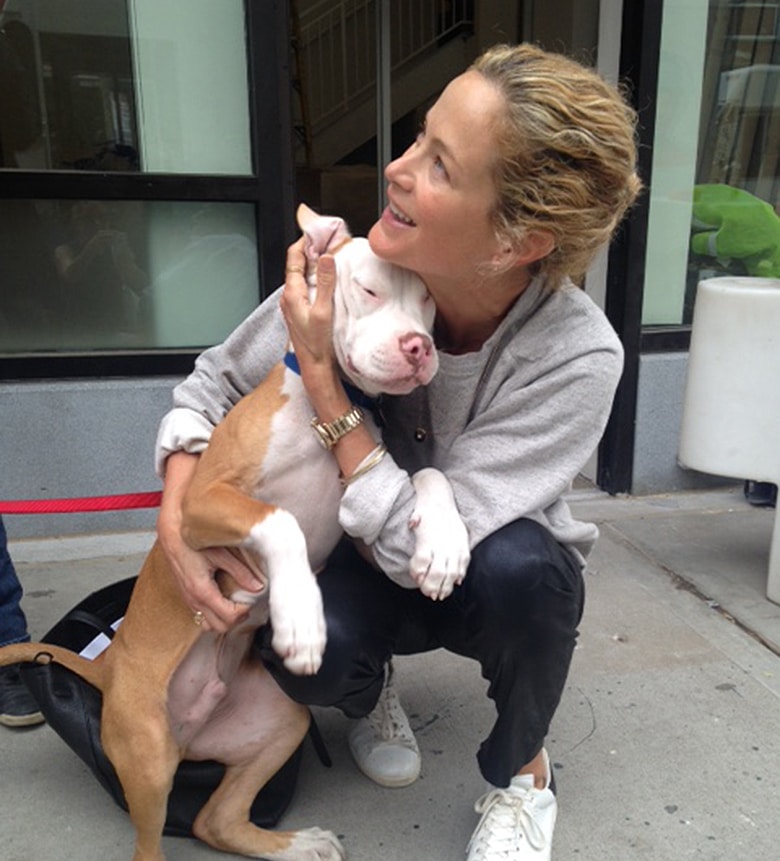 Supermodel Carolyn Murphy hugging a dog on the sidewalk at the opening of Animal Haven Shelter, joined by Jon Stewart.