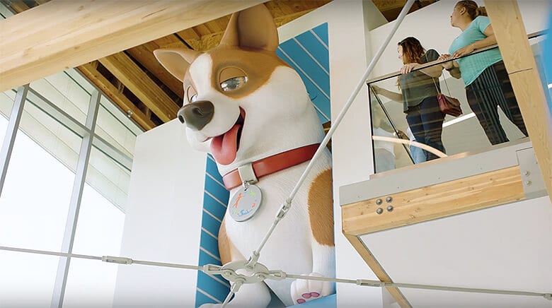 TVs, Fetch Deck and Reflection Area: This Animal Shelter Is One of the Best We’ve Seen