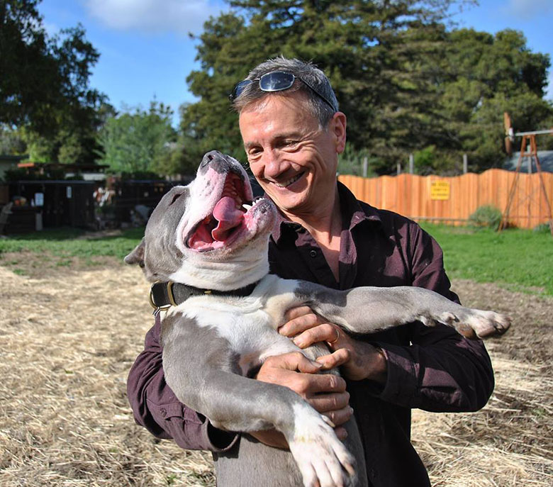 Letter to Former Owner Thanks Him for 'Raising Such an Awesome Meatball of a Dog'