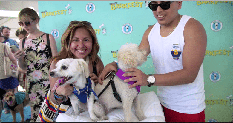 A woman poses with two dogs at the World's Fair.