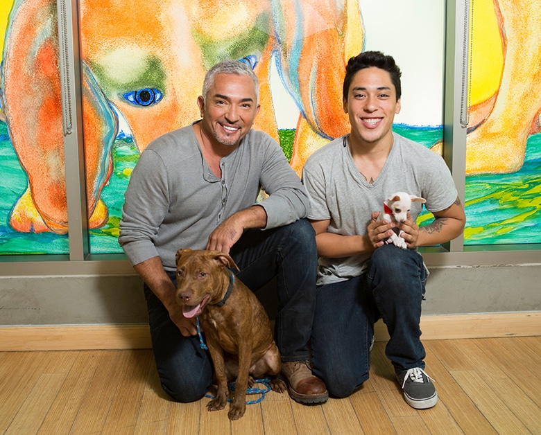 Cesar Millan to Attend San Francisco Pet Fair Where Hundreds of Dogs Will Be Looking for Homes