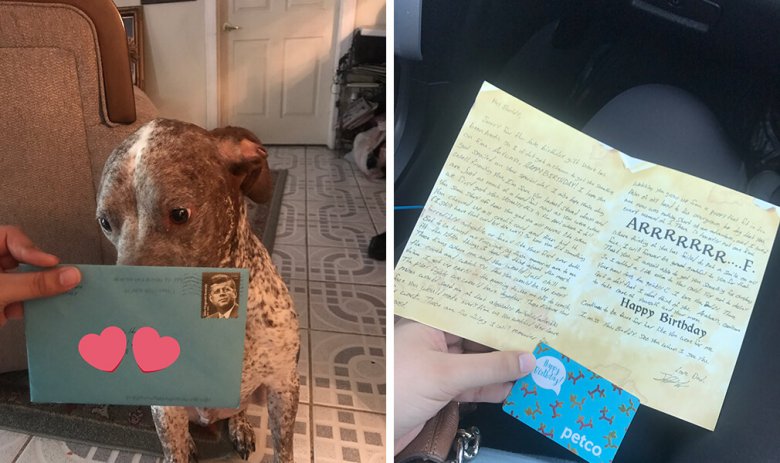 Two pictures of a dog holding an envelope and a person holding a letter that appears to be related to an Ex.