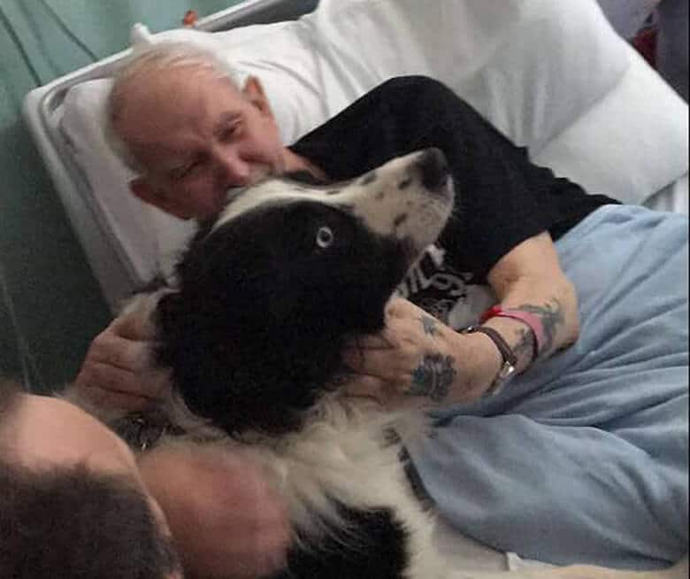 Heartwarming Video of Terminally-Ill Man Getting to Say Goodbye to His Dog