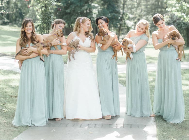 Instead of Bouquets, Bridesmaids Hold Rescue Puppies for Wedding