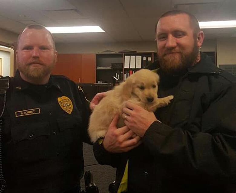 To Help Cops Cope With Burnout, Police Department Welcomes Comfort Puppy