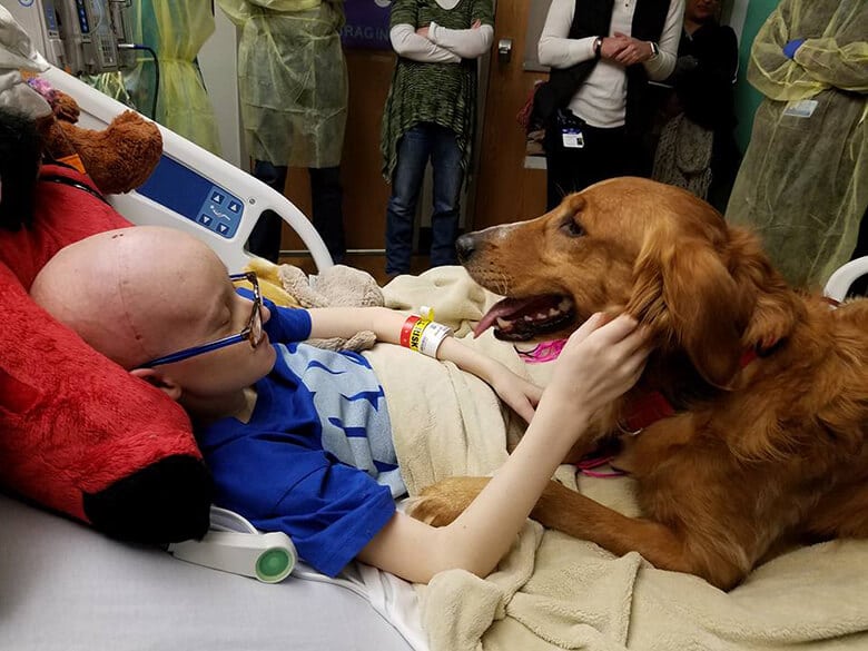 Girl With Cancer Gets Special Visit From Dog in Movie 'A Dog's Purpose'