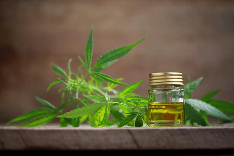 How CBD Oil Changed My Pup’s Life – and Can Change Your Dog’s Too
