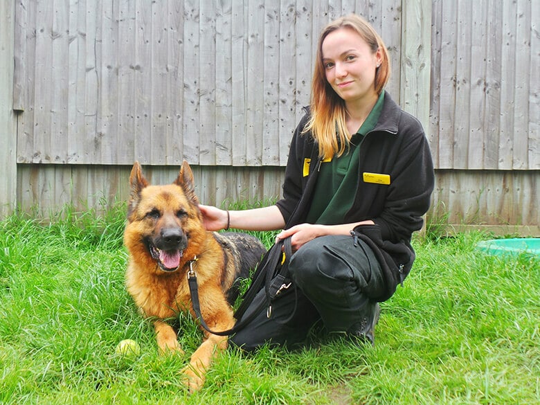 Shelter Dog ‘Untrainable’ Before Staff Figures Out His Secret