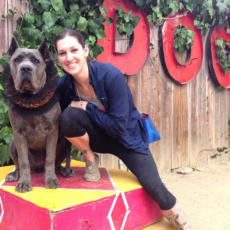 There is a Circus Training School for Dogs — And It Is Amazing