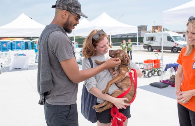 A woman is petting a dog at the Best Friends Animal Society event.