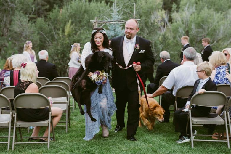 Maid of Honor Helps Bride’s Senior Dog Finish His Walk Down the Aisle