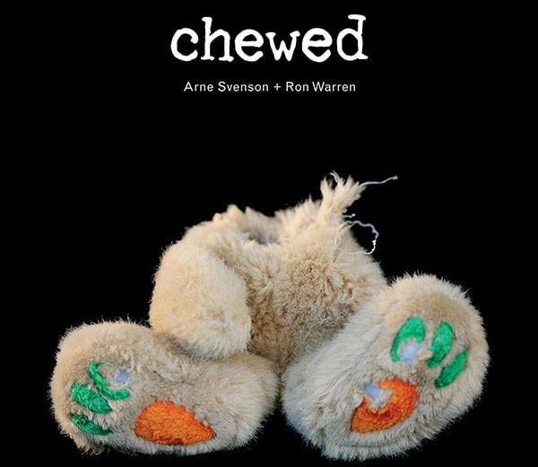 Chewed: An Ode to Destroyed Toys