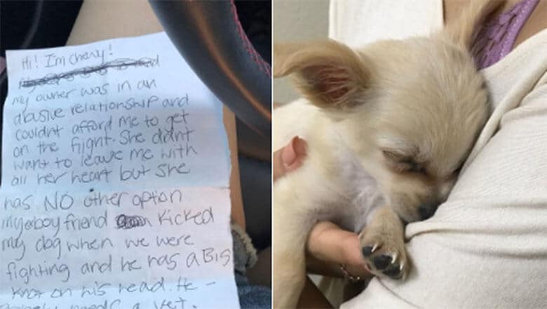 Puppy Abandoned at Airport With Heartbreaking Note After Owner Leaves Abusive Relationship