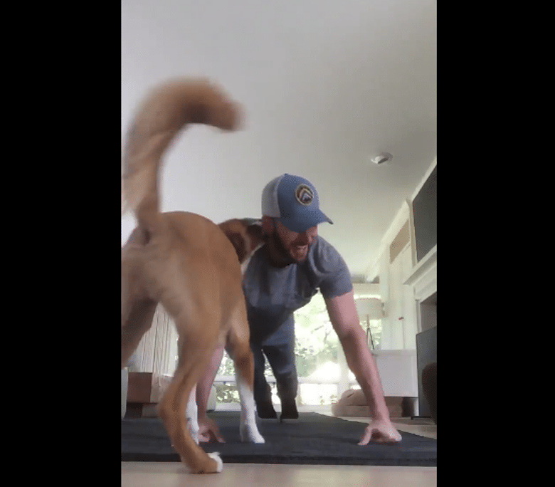 Chris Evans is playing with a dog in a living room while participating in the 22-Pushup Challenge.