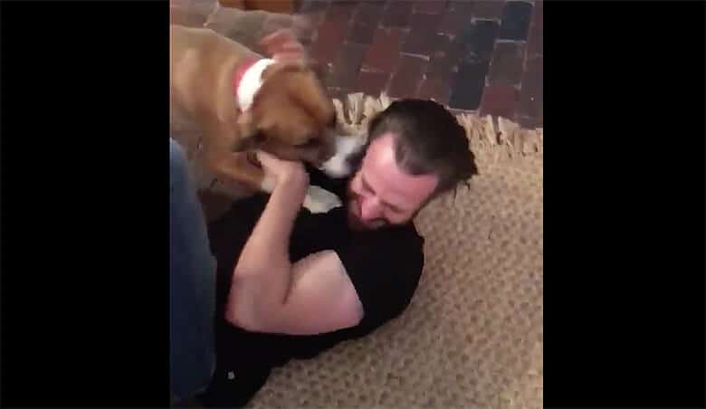 Chris Evans and a dog having a joyful reunion on the floor.