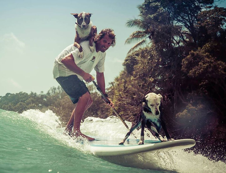 For Training, This Surfer Gets Dogs Out of the Classrooms and Onto Paddleboards